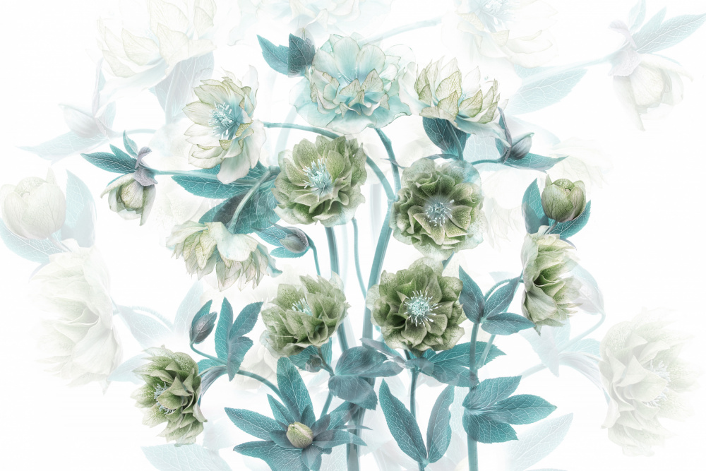 Aqua Green Blooms — artwork by Jacky Parker