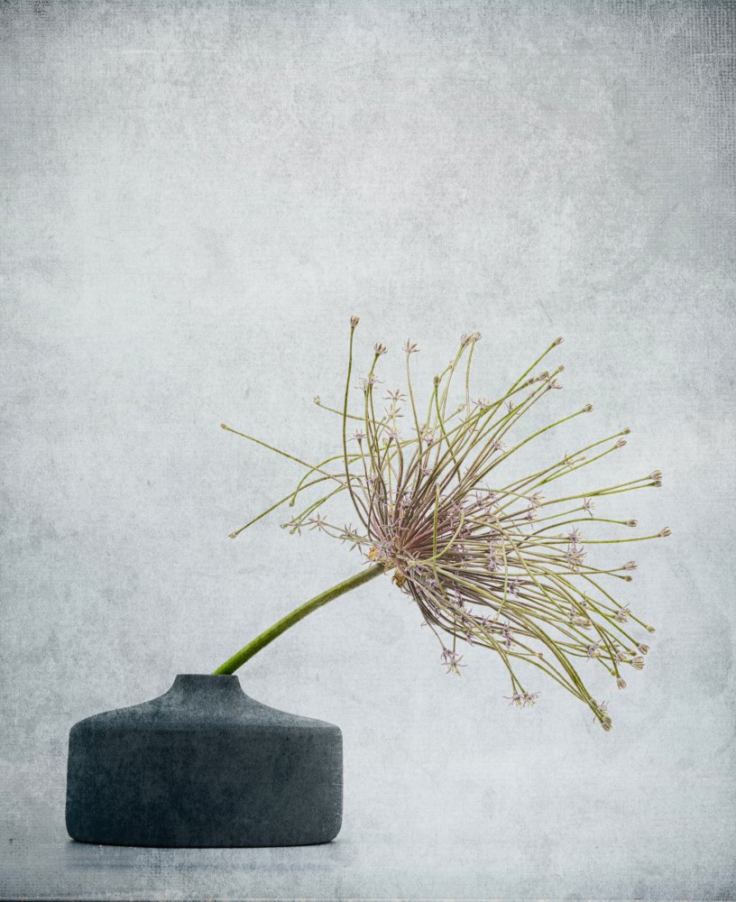 Delicate Botanical Still Life — artwork by Saskia Dingemans