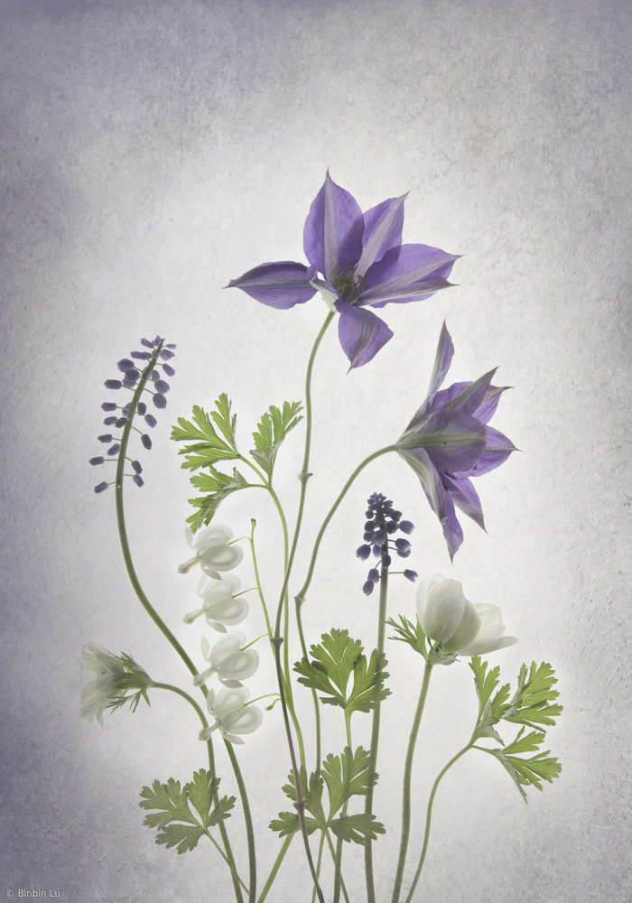 Delicate Spring Blooms — artwork by Binbin L.