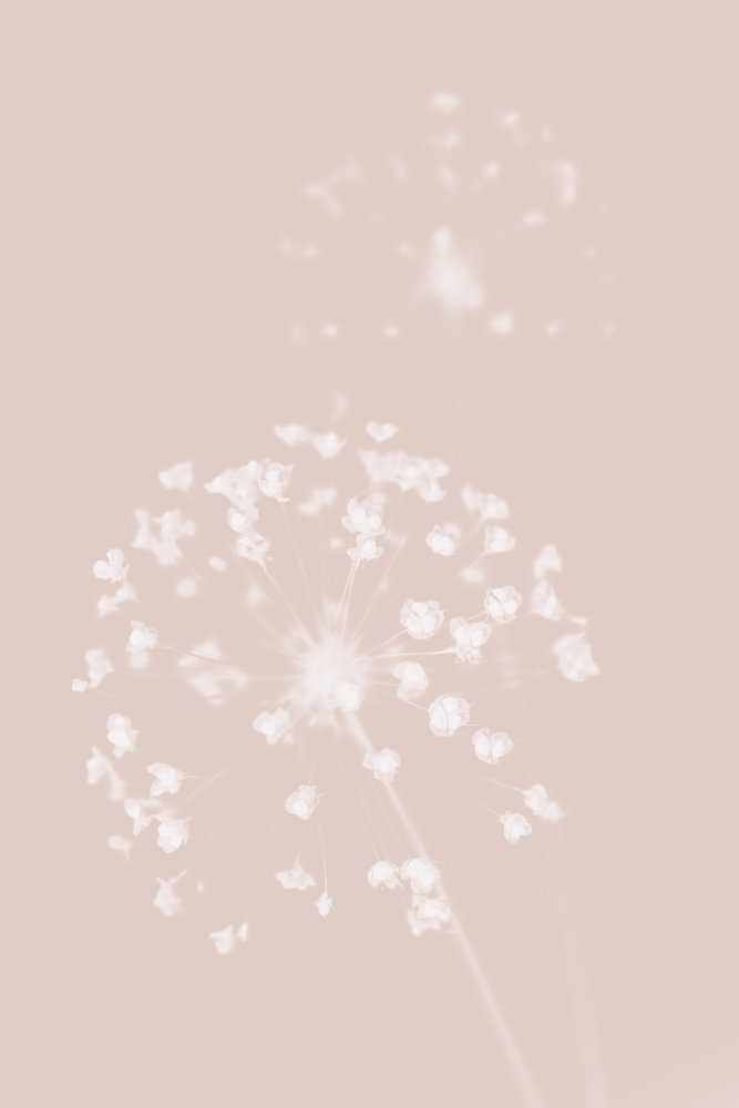 Dreamy Pastel Flowers — artwork by Pictufy Studio III