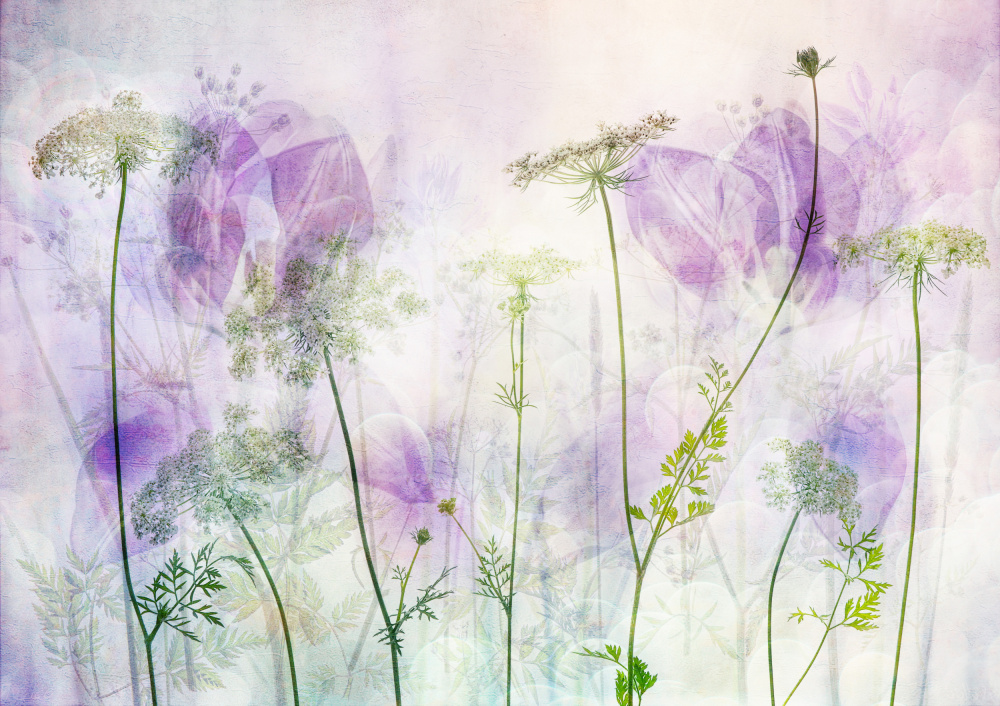 Ethereal Purple Blooms — artwork by Hilda van der Lee