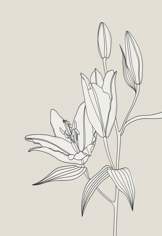 Line art lillies in beige — artwork by Rosana Laiz Blursbyai