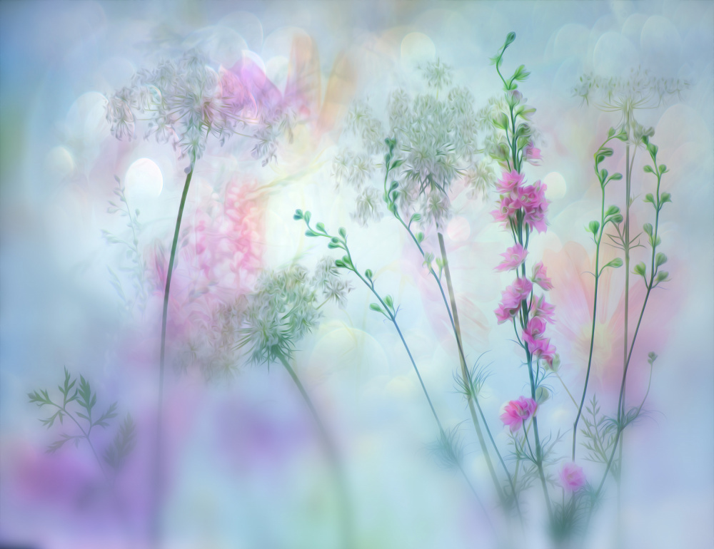 pastel — artwork by Hilda van der Lee
