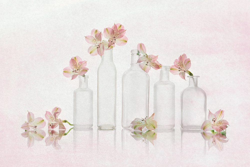 Pink Blooms and Glass — artwork by Lydia Jacobs