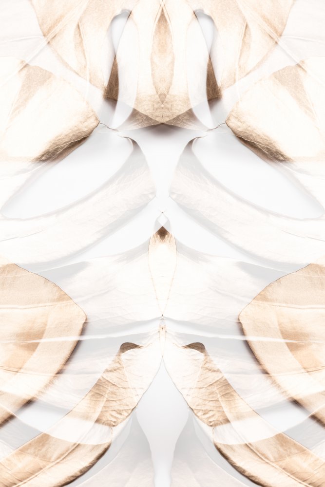 Soft Beige Abstraction — artwork by Pictufy Studio III