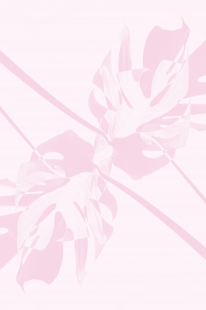 Soft Pink Monstera — artwork by Pictufy Studio III