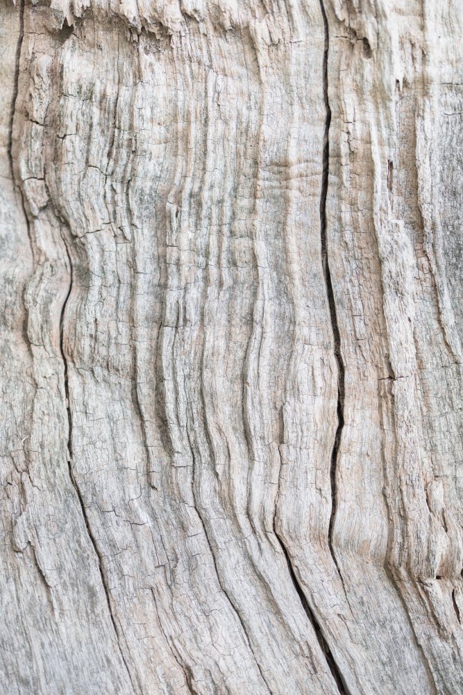 Wood Pattern — artwork by Pictufy Studio III